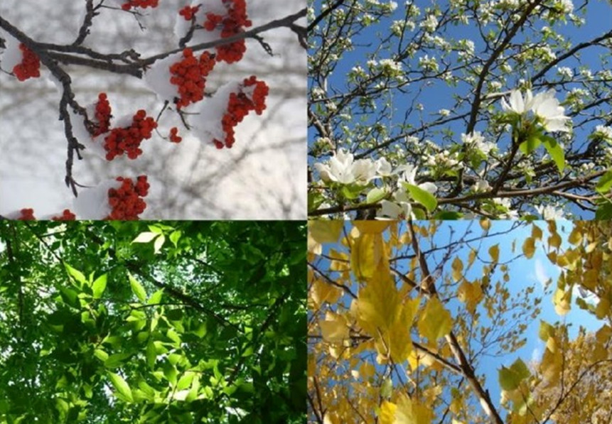 Точным сигналом приближения весны лета осени. Времена года. Времена года картинки. Пейзаж в Разное время года.